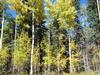 Elk Ridge Lot 3